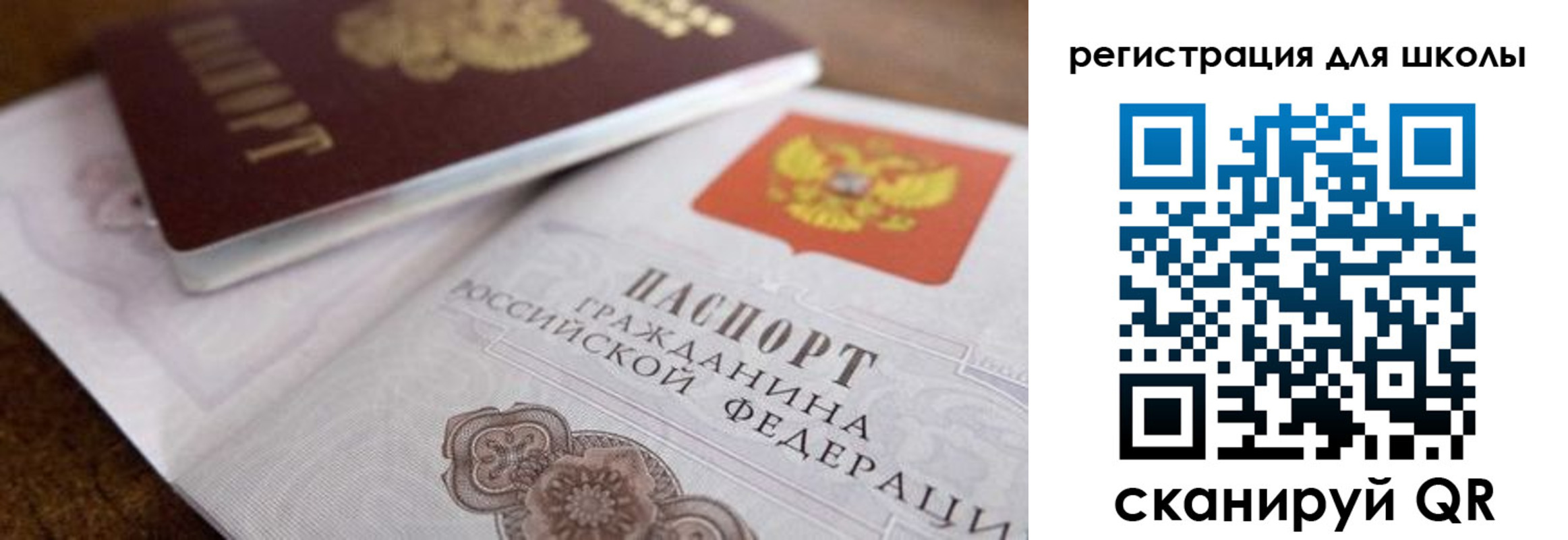 прописка для работы в Пионерском